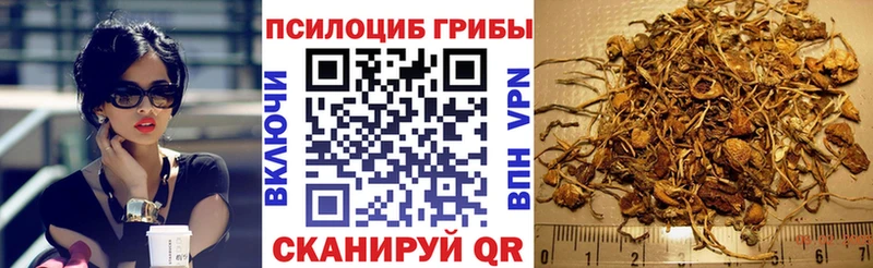 что такое   Зуевка  Галлюциногенные грибы прущие грибы 